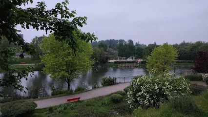 Pętla Amelung