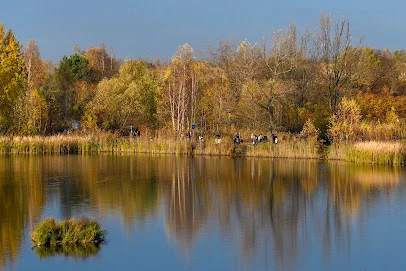 Rezerwat przyrody Żabie Doły